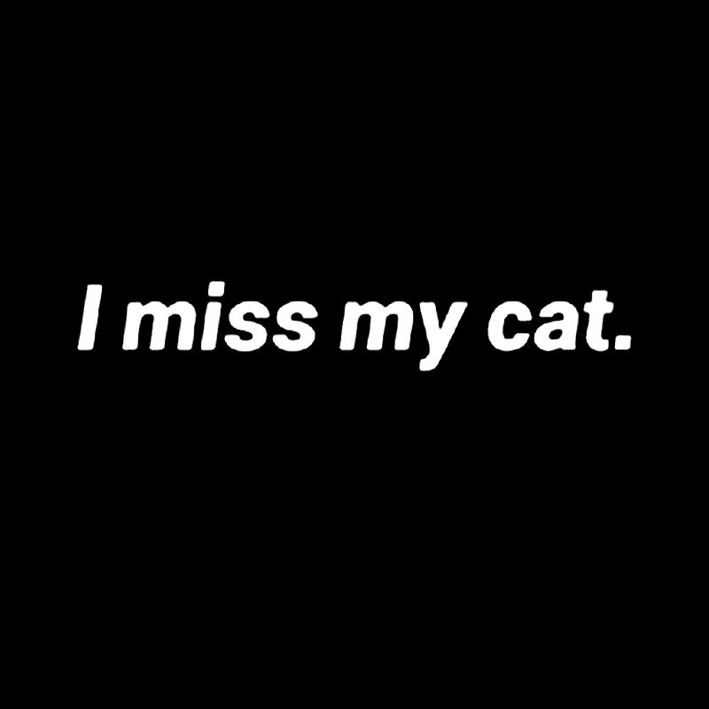I Miss My Cat Geek T-Shirt
