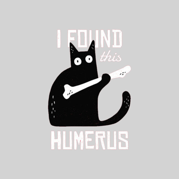 Cat With A Bone Geek T-Shirt