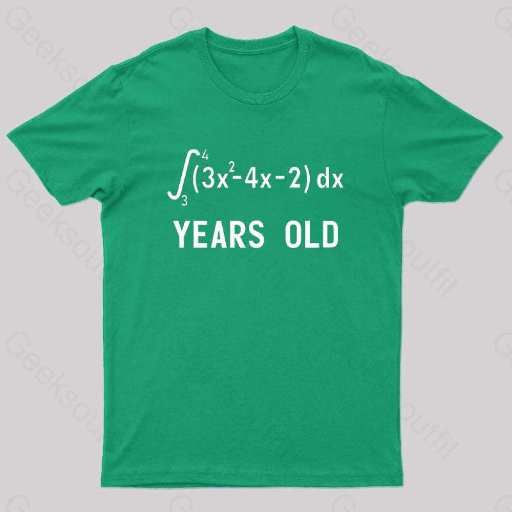 21 Years Old Funny Integral Calculus Nerd T-Shirt Green / S