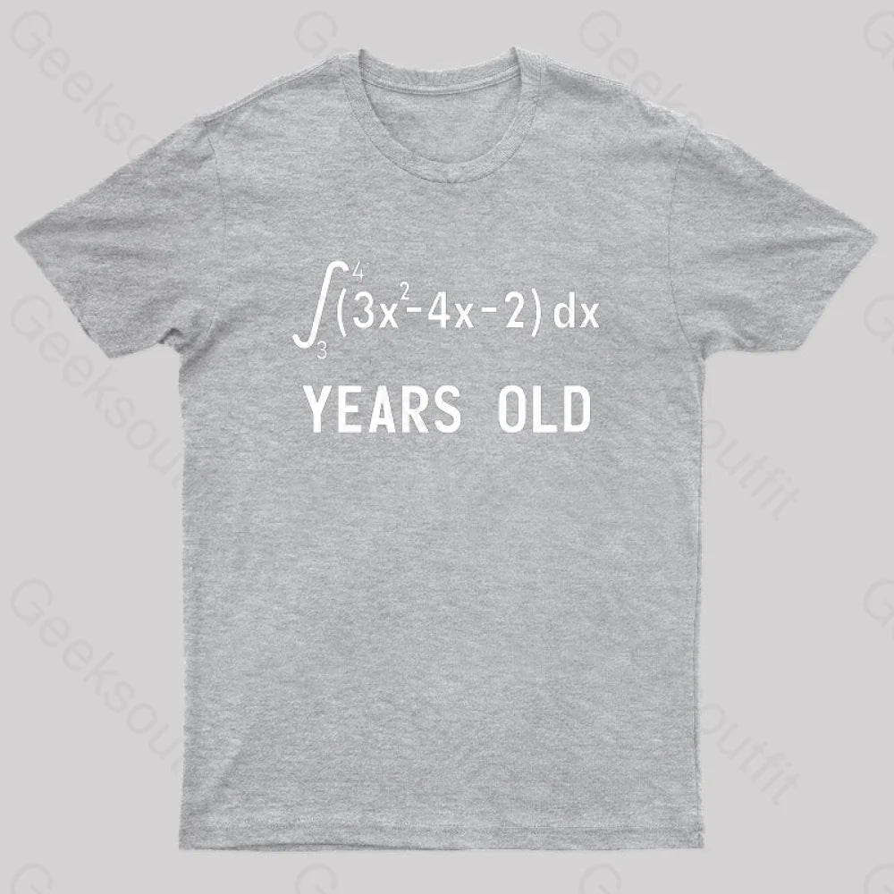 21 Years Old Funny Integral Calculus Nerd T-Shirt Grey / S