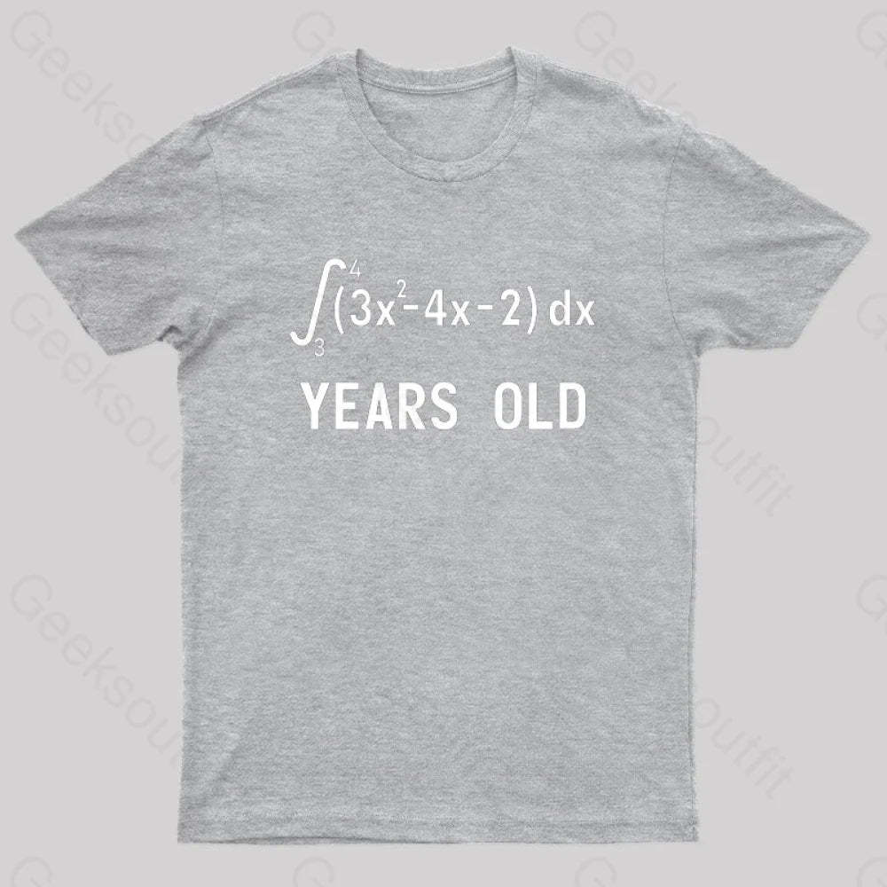 21 Years Old Funny Integral Calculus Nerd T-Shirt Grey / S