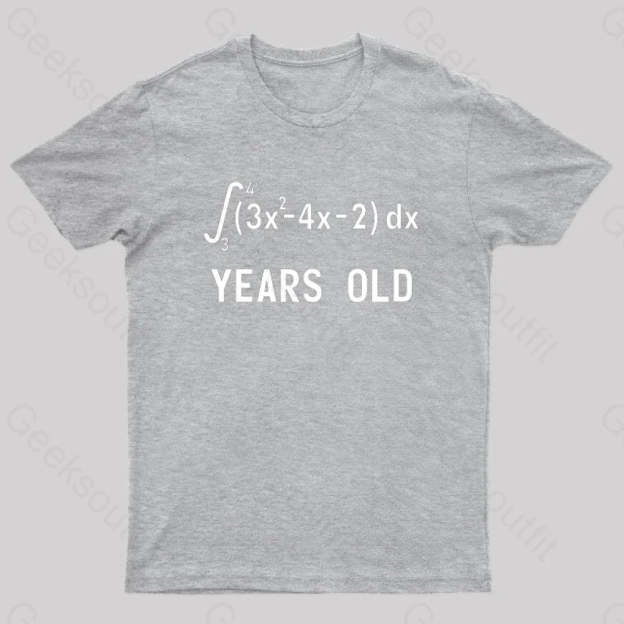 21 Years Old Funny Integral Calculus Nerd T-Shirt Grey / S