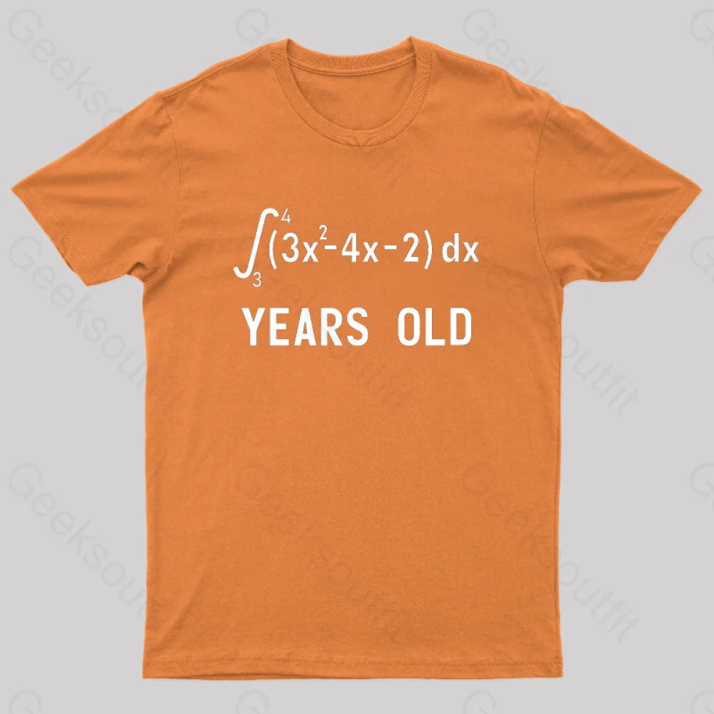 21 Years Old Funny Integral Calculus Nerd T-Shirt Orange / S