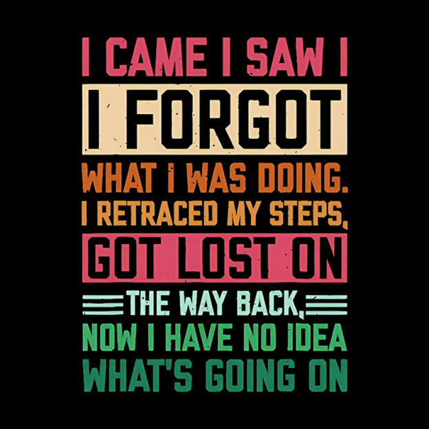 I Came I Saw I Forgot What I Was Doing Geek T-Shirt