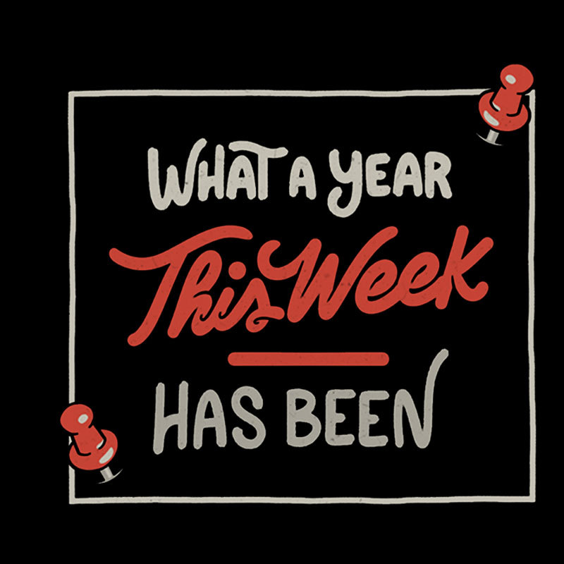 What A Year This Week Has Been Geek T-Shirt