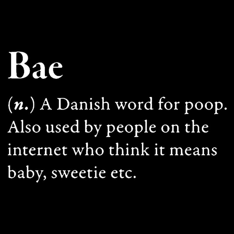 Bac Funny Glossary Geek T-Shirt
