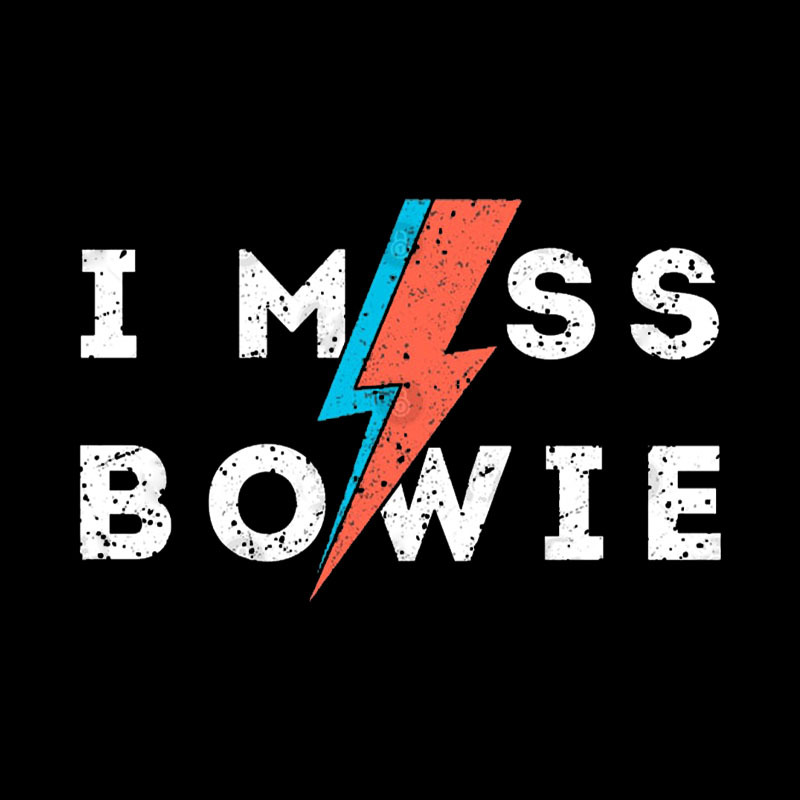 I Miss Bowie Geek T-Shirt