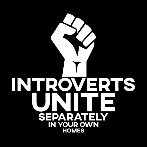 INTROVERTS UNITE Separately In Your Own Homes Geek T-Shirt