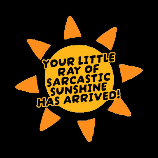 Your Little Ray of Sarcastic Sunshine Has Arrived Geek T-Shirt