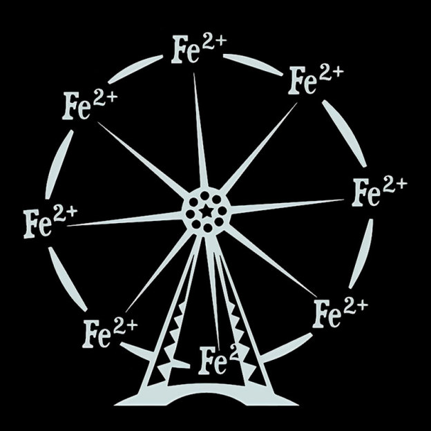 Ferrous Ferris Wheel Geek T-Shirt
