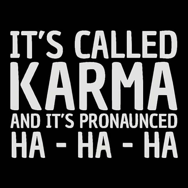 Karma Funny Geek T-Shirt