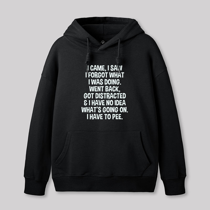 I Came I Saw I Forgot What I Was Doing Geek Hoodie