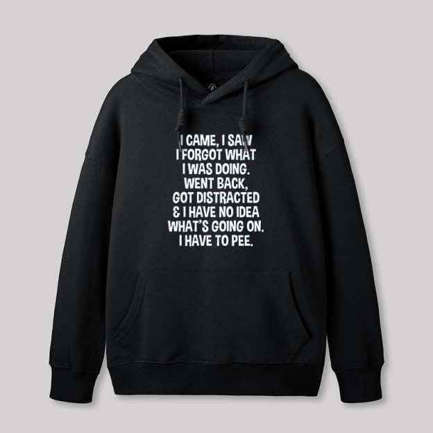 I Came I Saw I Forgot What I Was Doing Geek Hoodie