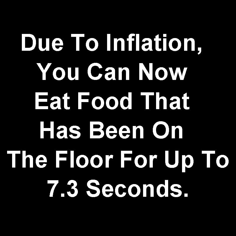 Due to Inflation Geek T-Shirt