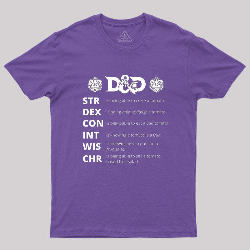 Dungeons And Dragons Gift Geek T-Shirt
