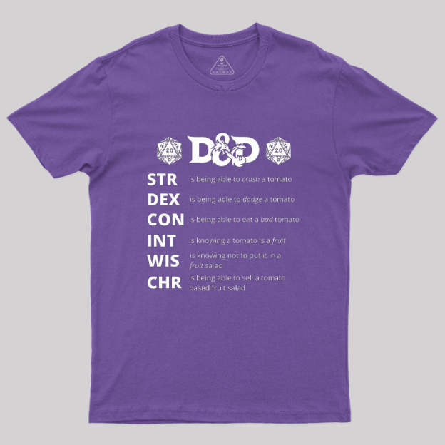 Dungeons And Dragons Gift Geek T-Shirt
