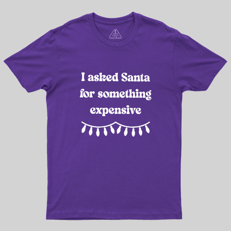 I Asked Santa For Something Expensive Geek T-Shirt