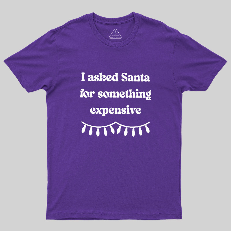 I Asked Santa For Something Expensive Geek T-Shirt