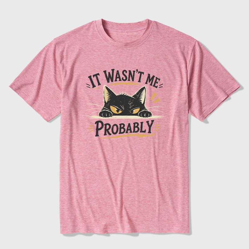 Probably Innocent Ultra Soft Heather Tee