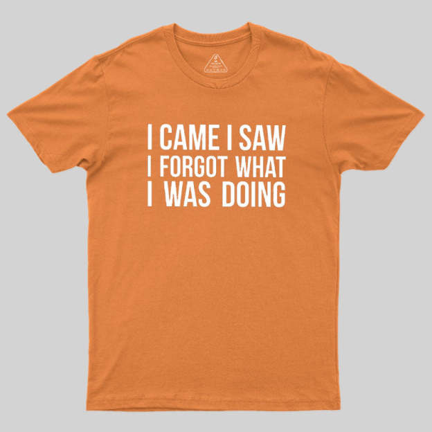 I Came I Saw I Forgot What I Was Doing Humor Joke Quote Geek T-Shirt