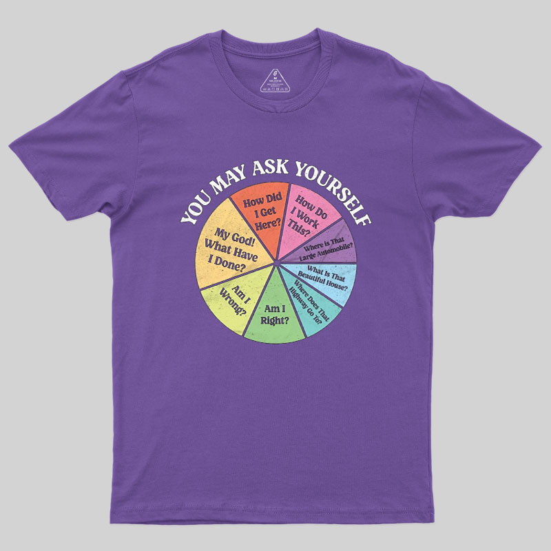 You May Ask Yourself Geek T-Shirt