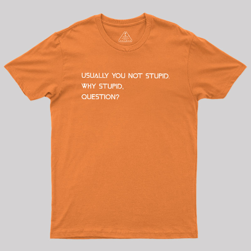Why Stupid Question Geek T-Shirt