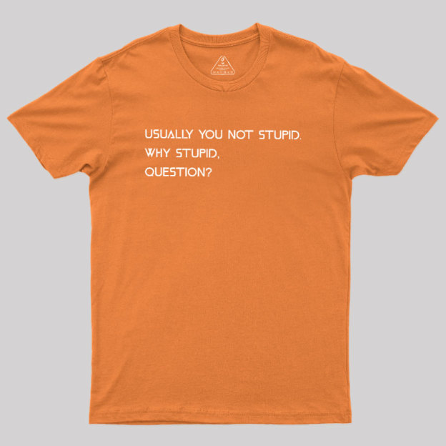 Why Stupid Question Geek T-Shirt