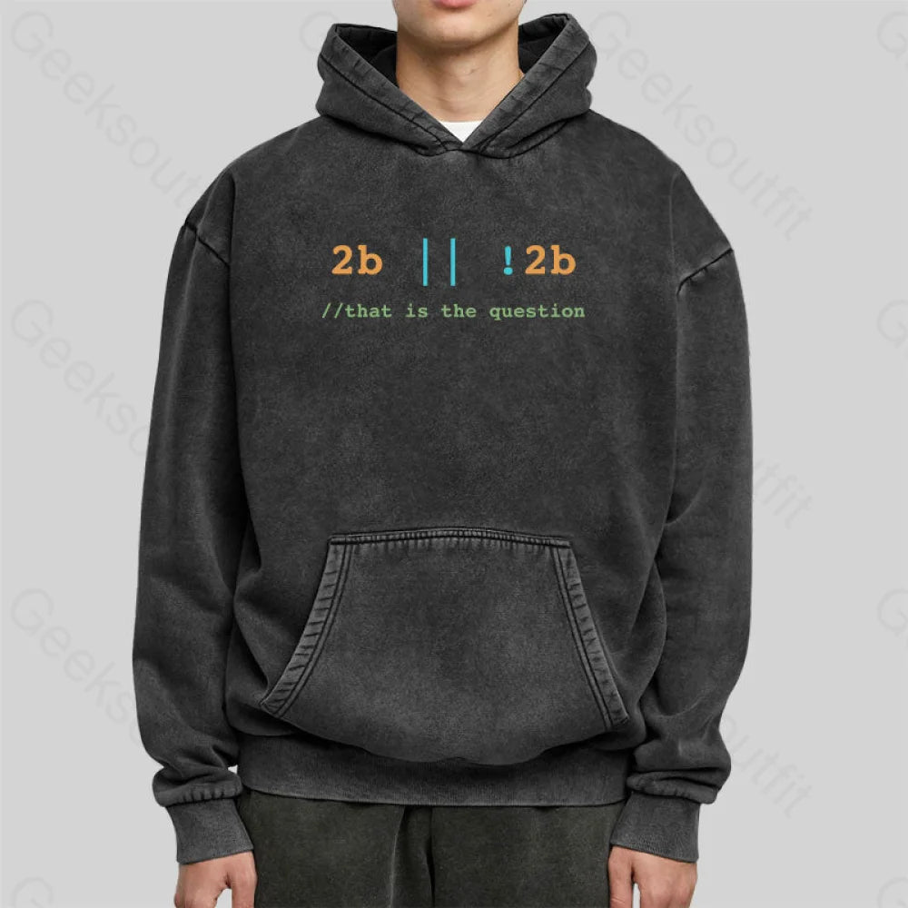 2B Or Not That Is The Question Washed Hoodie