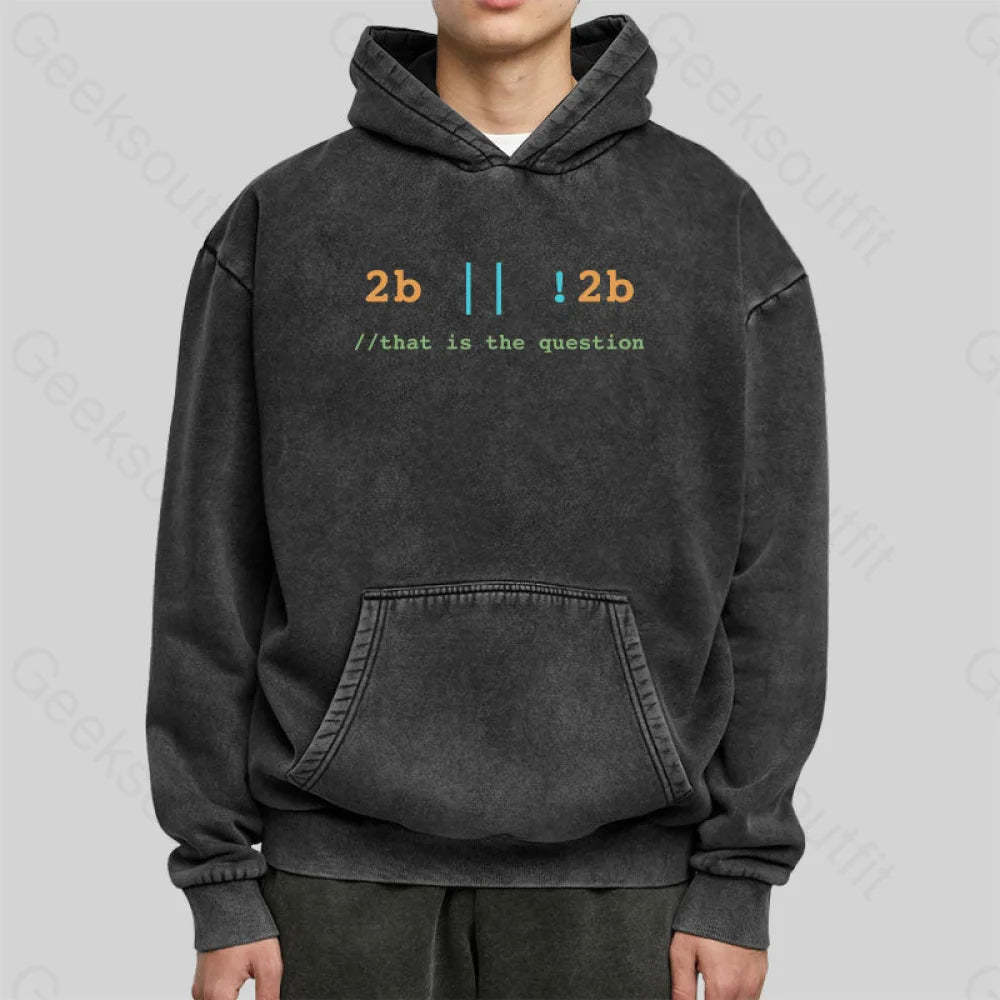 2B Or Not That Is The Question Washed Hoodie