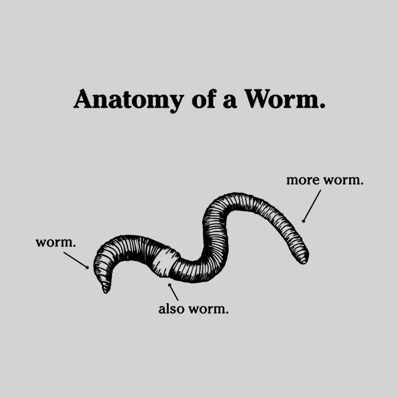 Anatomy Of A Worm Geek T-Shirt