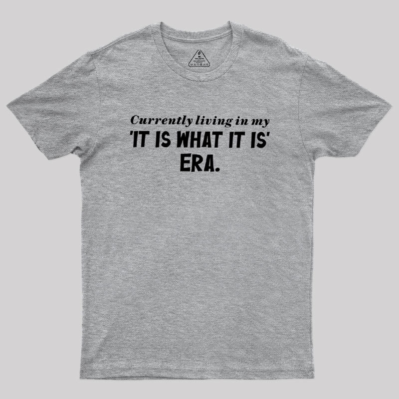 Currently Living in My 'It Is What It Is' Era Geek T-Shirt