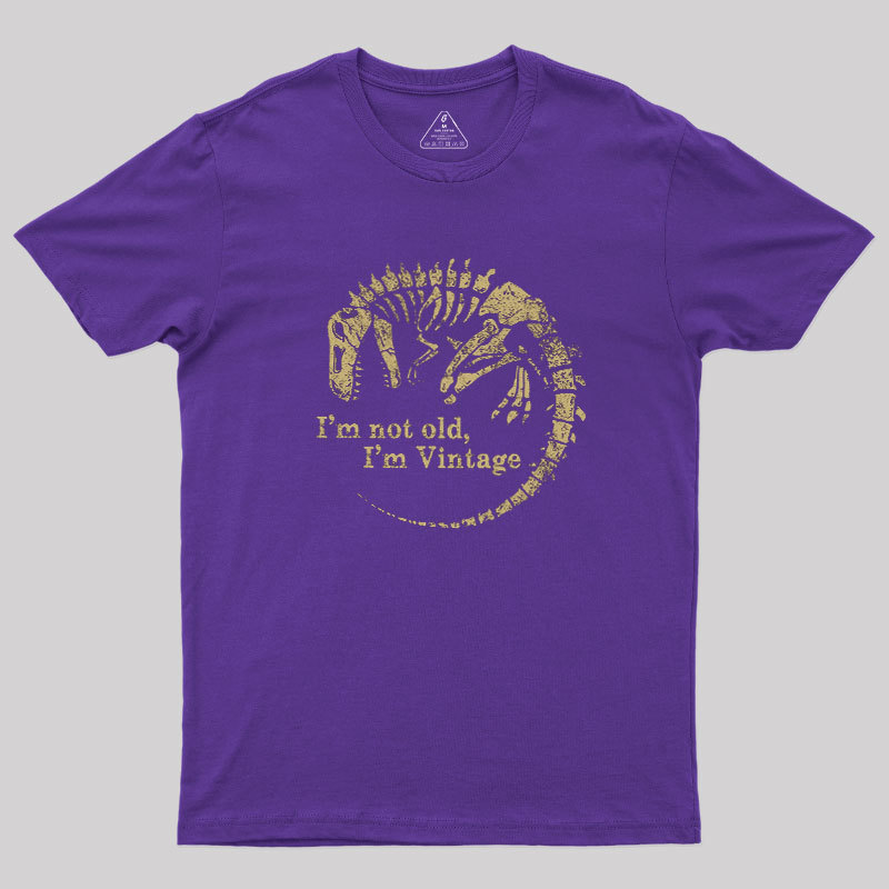 I'm Not Old, I'm Vintage Geek T-Shirt