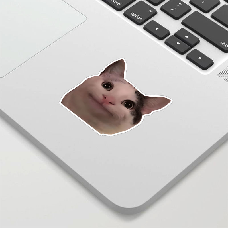 Awkward Cat Funny Geek Sticker