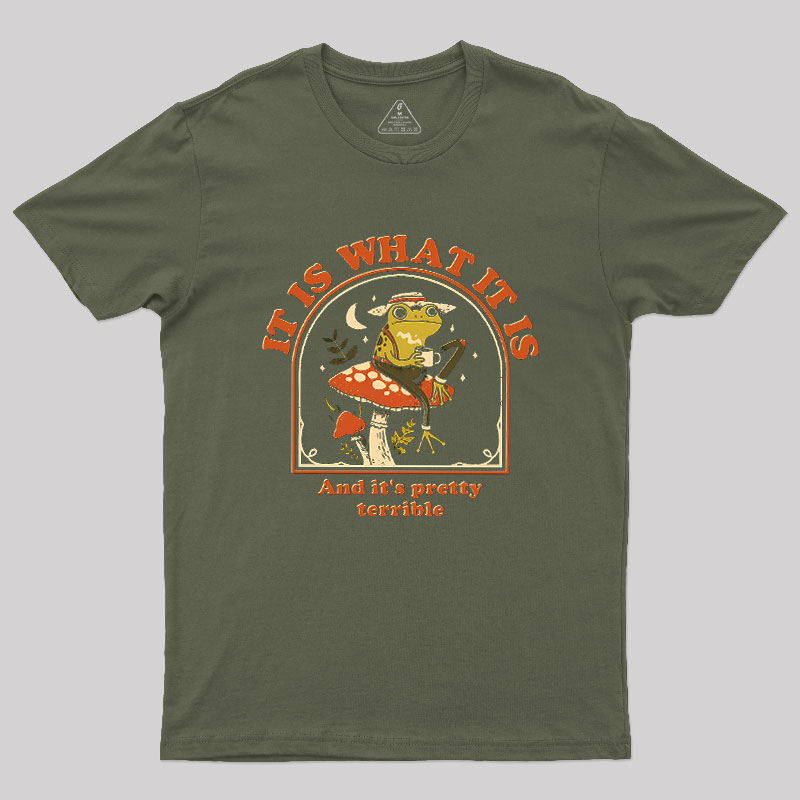 It Is What It Is And It's Pretty Terrible Geek T-Shirt