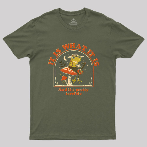 It Is What It Is And It's Pretty Terrible Geek T-Shirt