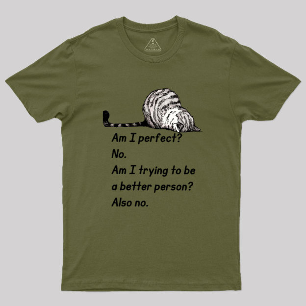 Am I Perfect No Geek T-Shirt