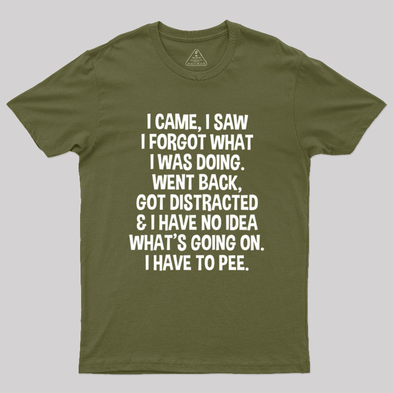 I Came I Saw I Forgot What I Was Doing Geek T-Shirt