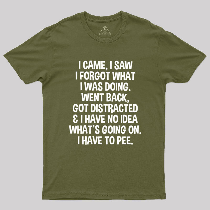 I Came I Saw I Forgot What I Was Doing Geek T-Shirt
