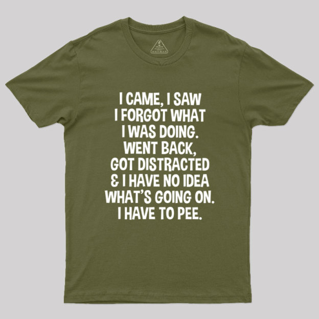 I Came I Saw I Forgot What I Was Doing Geek T-Shirt