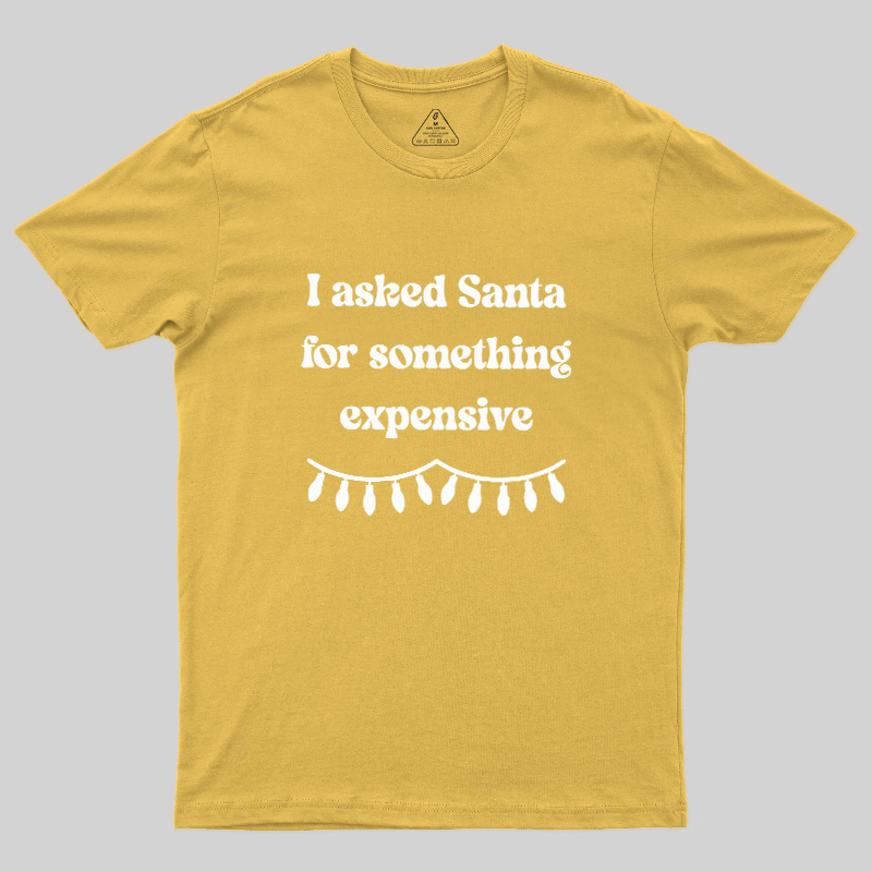 I Asked Santa For Something Expensive Geek T-Shirt
