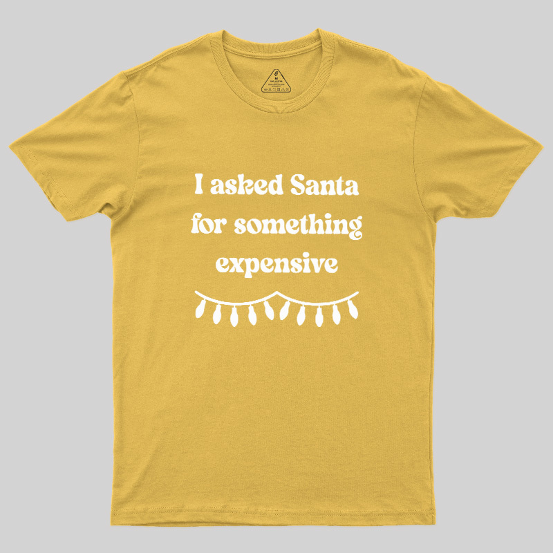 I Asked Santa For Something Expensive Geek T-Shirt