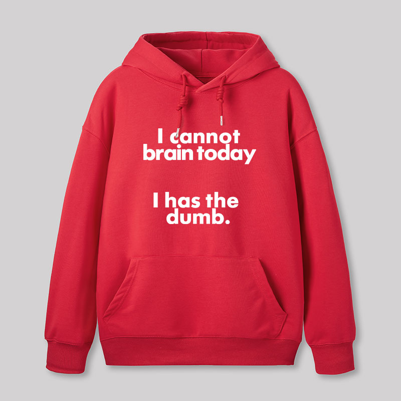 I Can Brain Today Geek Hoodie