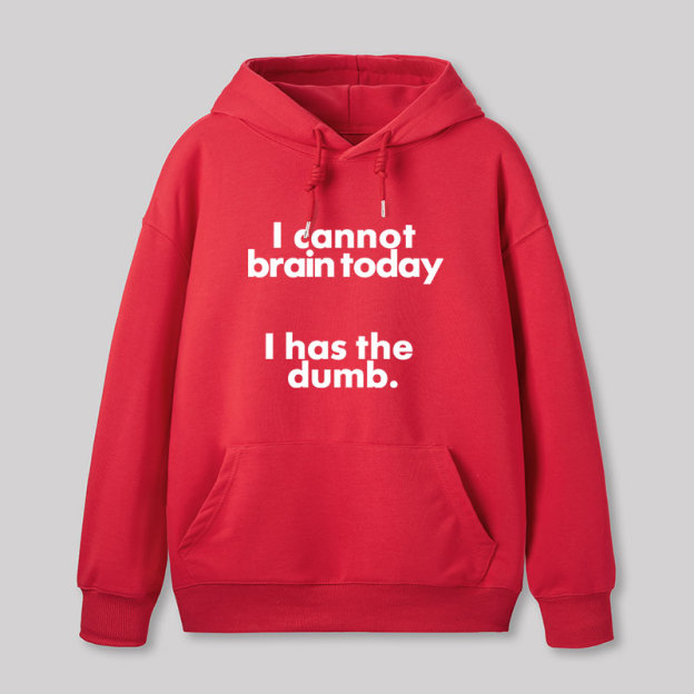 I Can Brain Today Geek Hoodie