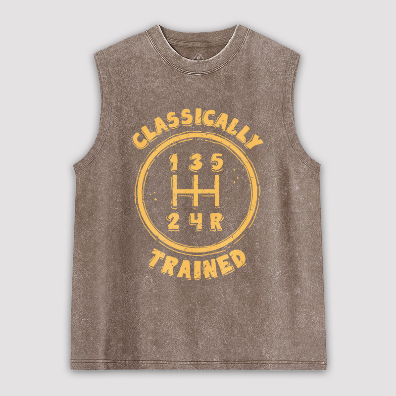 Geeksoutfit Cats Rule Unisex Washed Tank for Sale