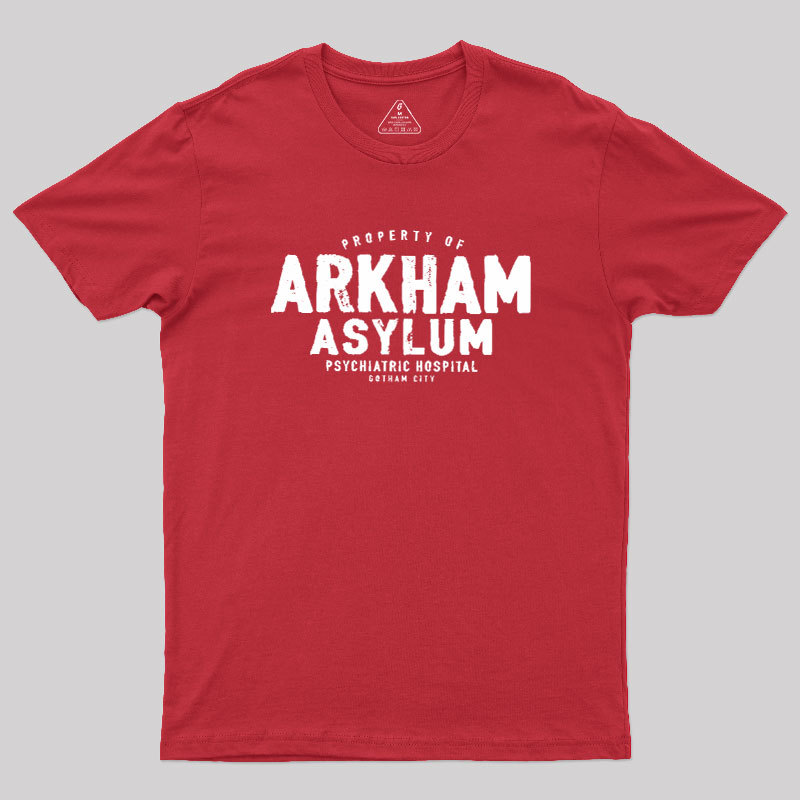 Arkham Asylum Geek T-Shirt