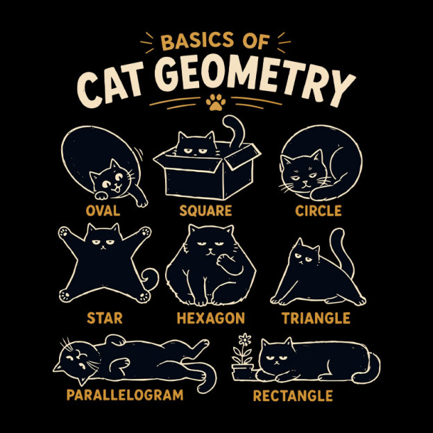 Basic Of Cat Geometry Geek T-Shirt