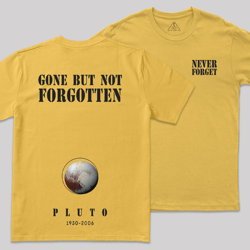 Never Forgot Front and Back Printing Geek T-Shirt