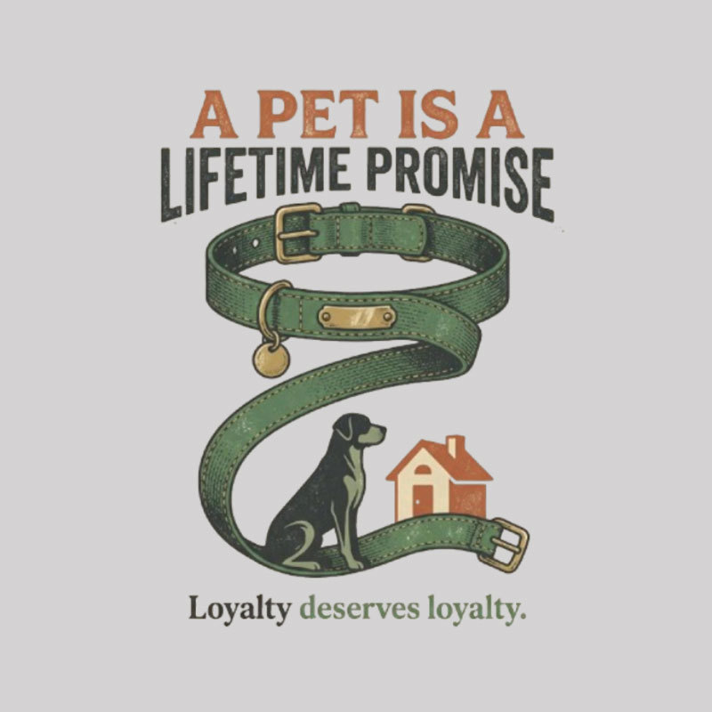 A Pat Is A Lifetime Promise Geek T-Shirt