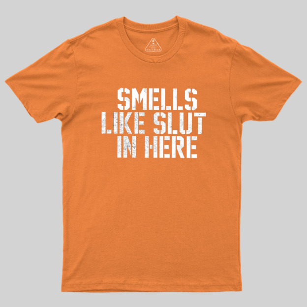 Offensive Smells Like Slut In Here Geek T-Shirt