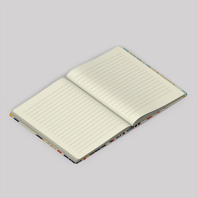 David Oddity Notebook